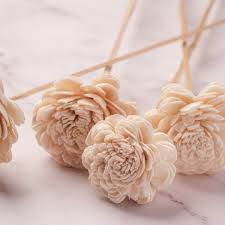 Shola Flower